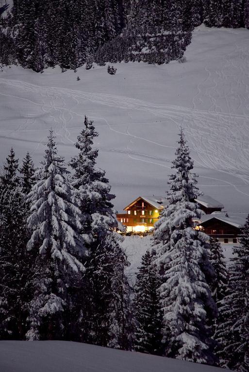 Hotel Des Alpes Адельбоден Экстерьер фото
