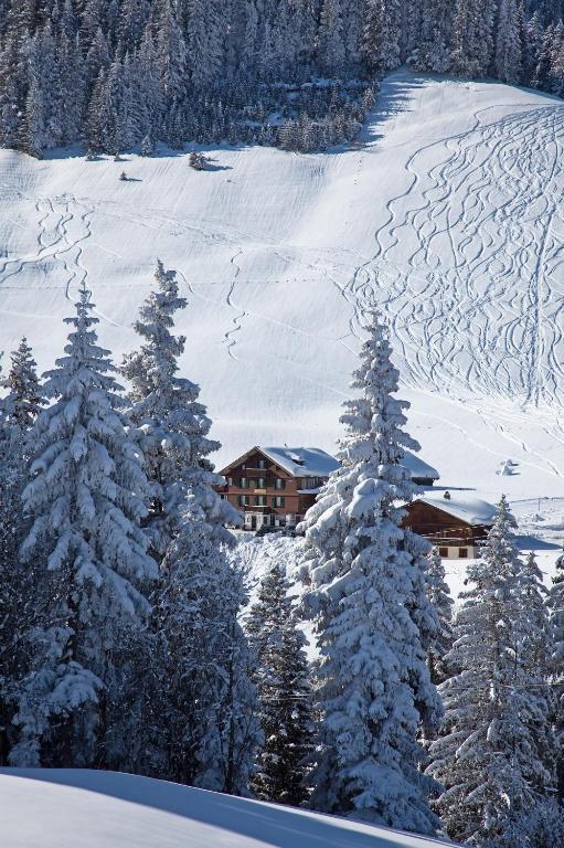 Hotel Des Alpes Адельбоден Экстерьер фото